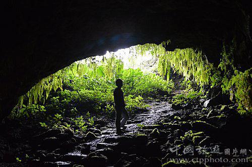 竞技宝登录
