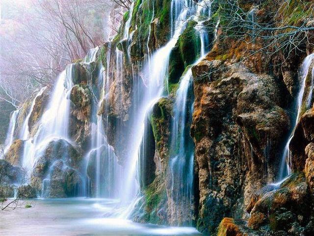 春雨直播app
